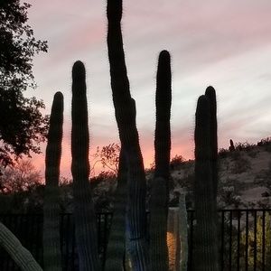 Meet your Posher, Michele